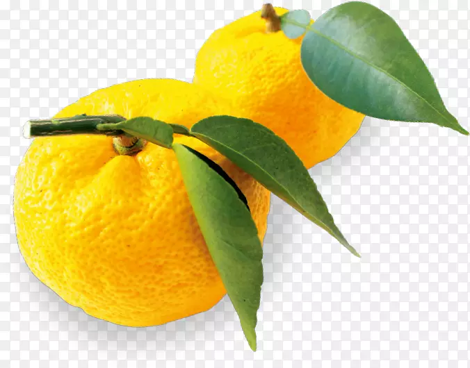 克莱门汀，柠檬，橘子，柠檬