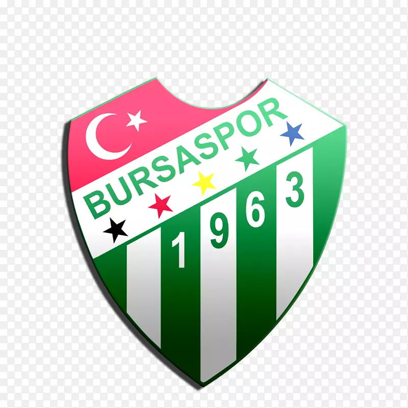 Bursaspor süper lig Galatasaray S.K.G ztepe S.K.体育-足球