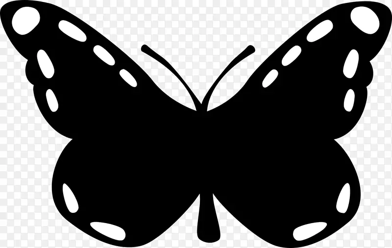 蝴蝶轮廓昆虫-蝴蝶