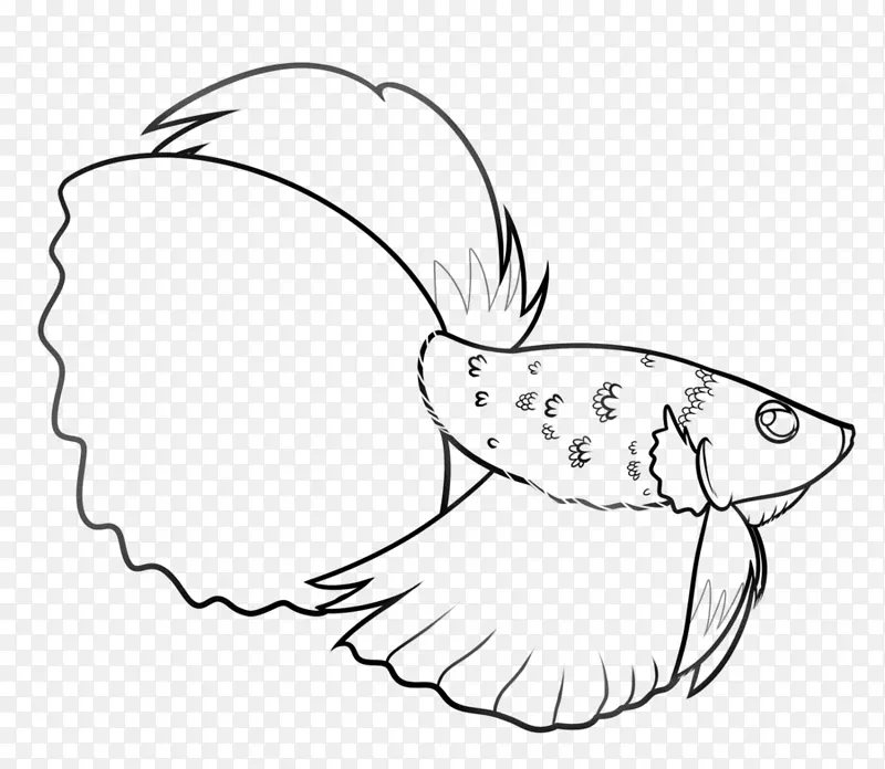 暹罗斗鱼画喙艺术-鱼