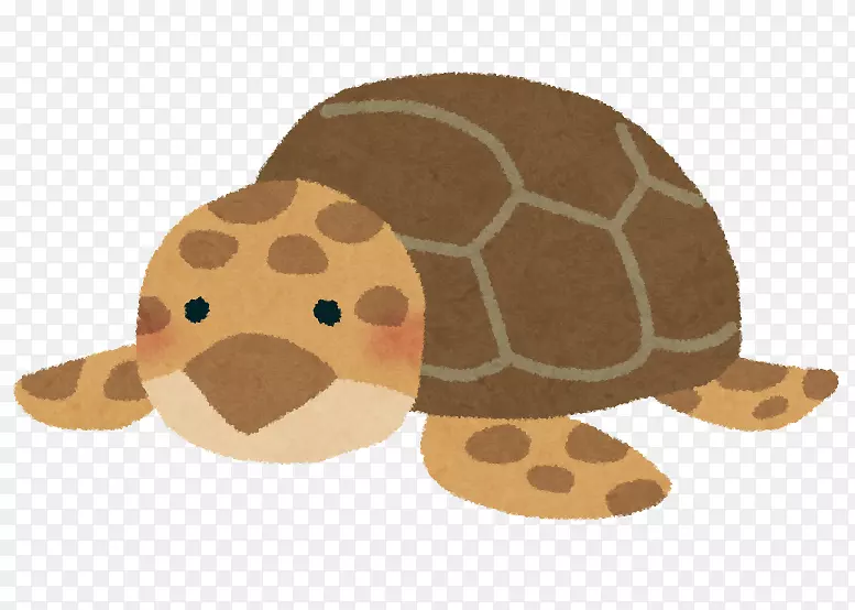 海龟爬行动物甲壳龟