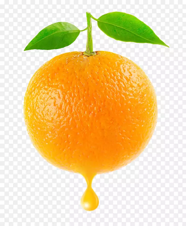 金门莲橘子血橙