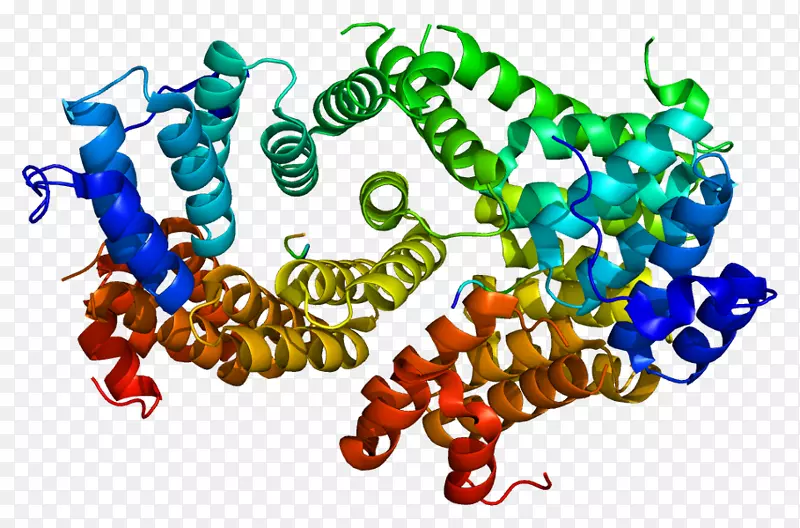 过氧化物酶体蛋白px 12基因-过氧化物酶体增殖激活受体