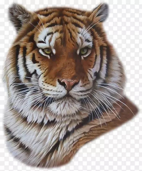 画狮子白虎艺术家-绘画