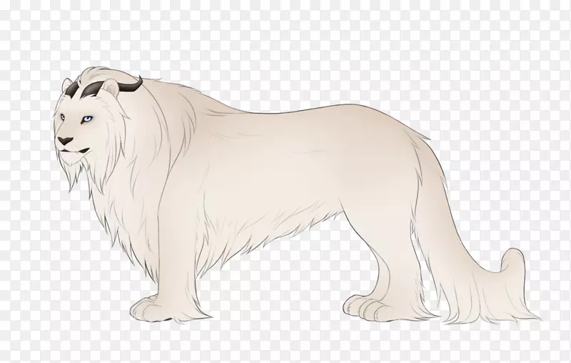犬种狮子猫陆生动物-狮子