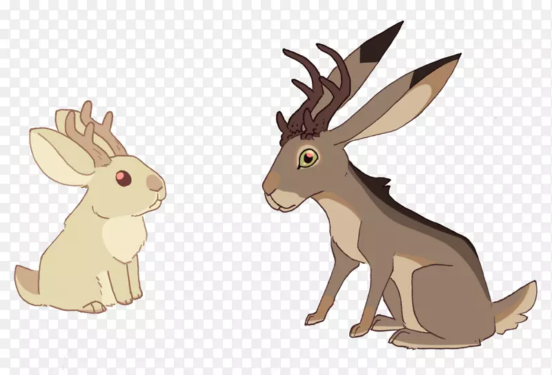 家养野兔，鹿，卡通鹿