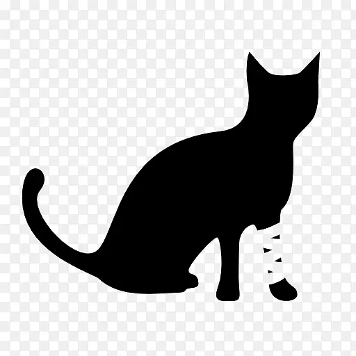 小猫黑猫胡须家养短毛猫泰国猫