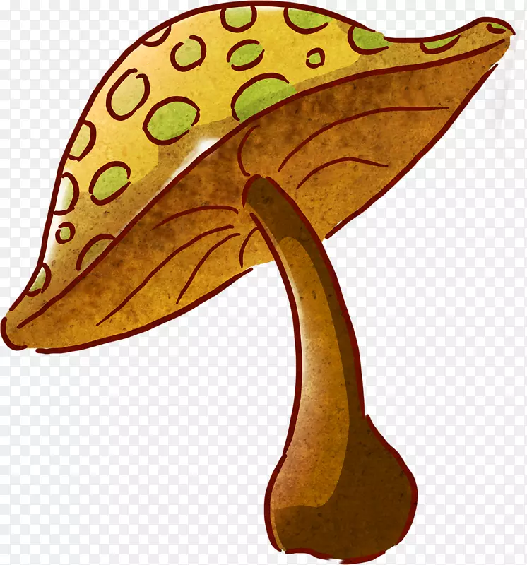 普通蘑菇画彩色剪贴画-蘑菇
