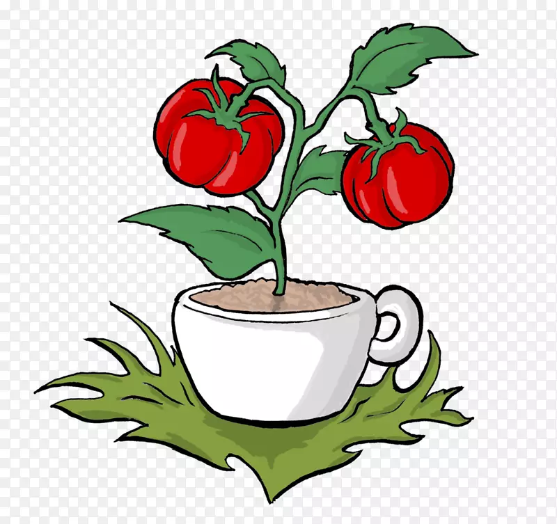 传家宝番茄蔬菜-番茄