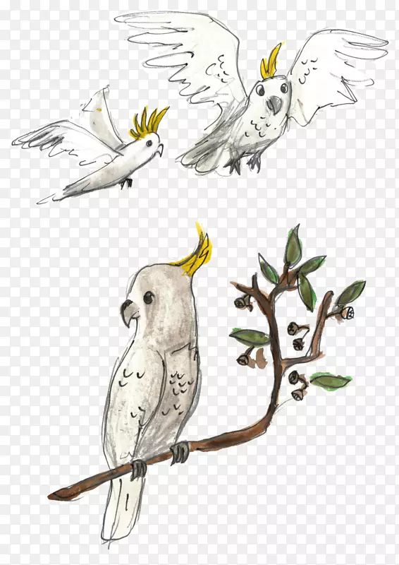 动物字母表冒险凤头鹰-动物字母