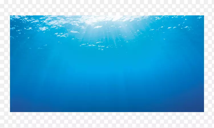 光固定水族馆价格比.水下背景