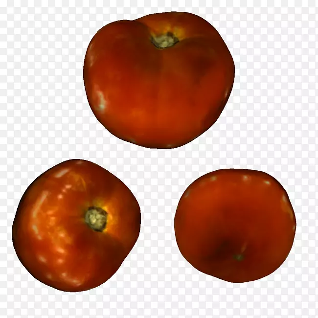 三维打印三维造型ZBrush-番茄水彩