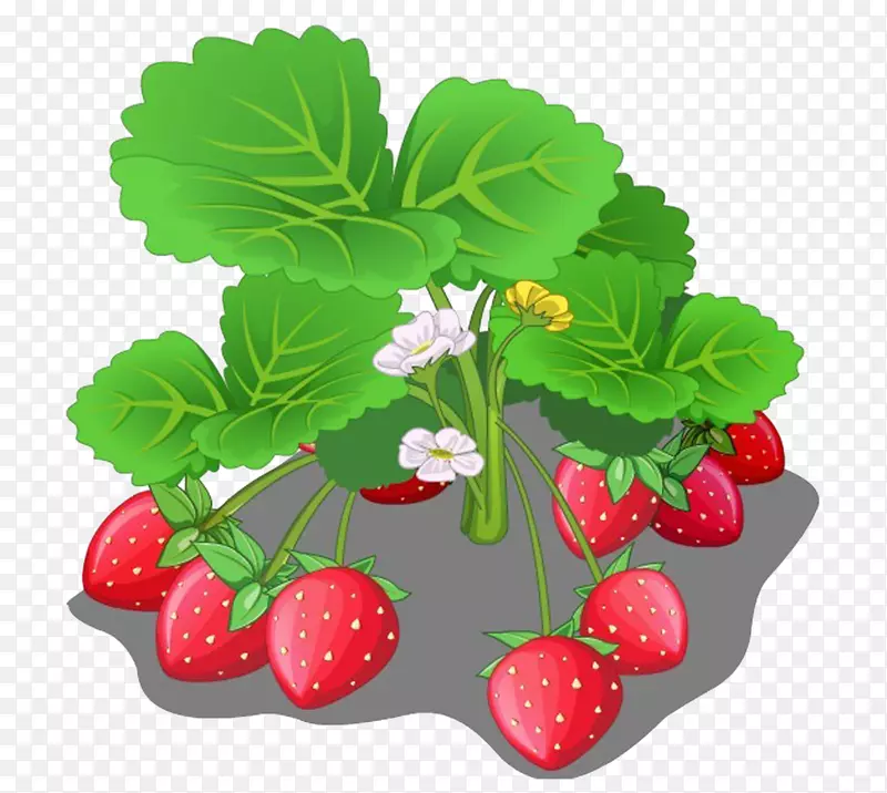 草莓果卡通-草莓