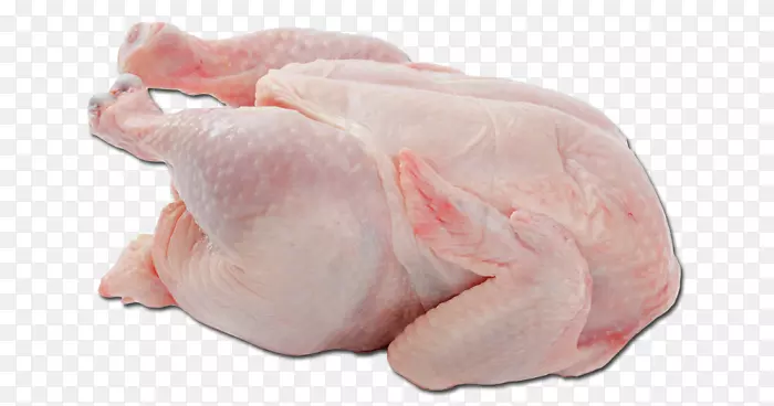 肉鸡作为食物水牛翼肉.卫生洁具计划