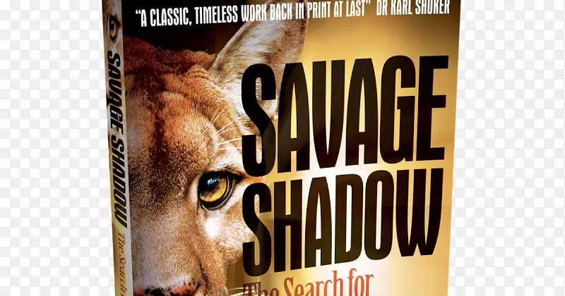 野人阴影：寻找澳大利亚美洲狮生态猫科动物中心