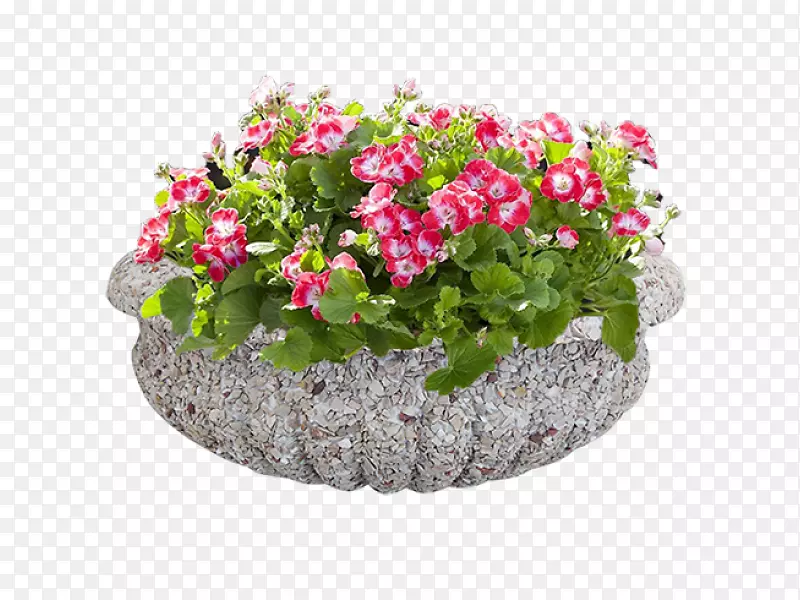 Вазон花卉设计