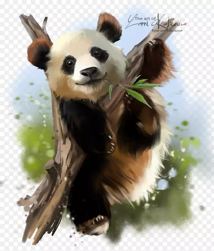 大熊猫纸红熊猫水彩画