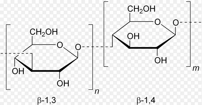 1，3-β-葡聚糖合酶地衣多糖