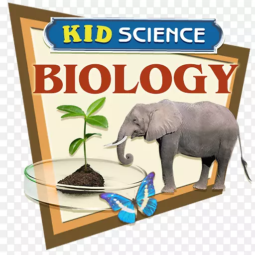 印度象非洲象圣经野生动物-科学实验