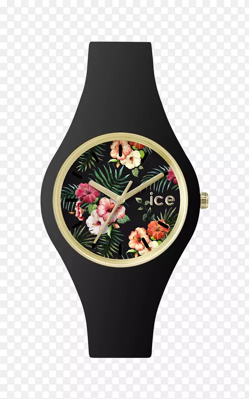 冰表花冰表浮冰闪烁冰表冰双-汉密尔顿手表公司
