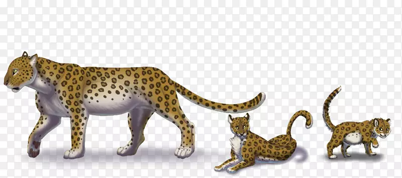 猎豹猫科非洲豹大猫艺术-豹幼崽