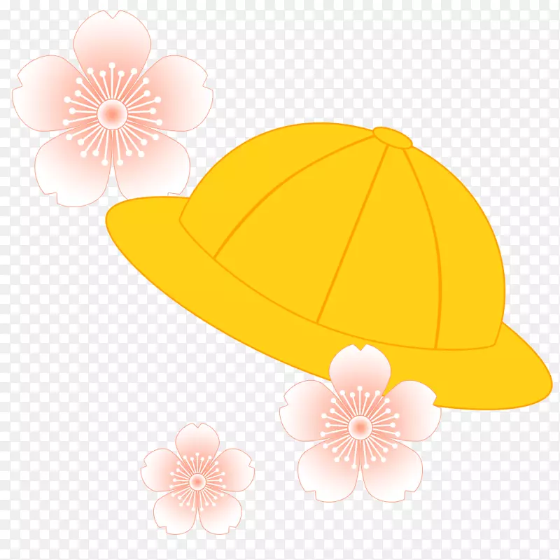 GB/T1597-1989帽制黄色封装后记弹簧材料