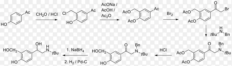 分子apolaire与两亲性甲基取代基