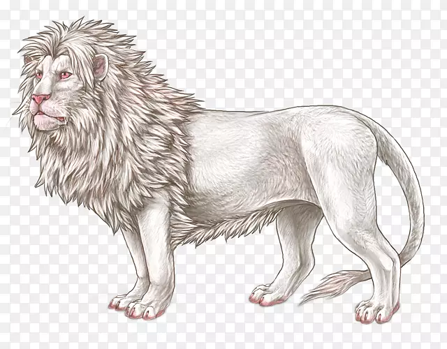 狮子大猫狗狮子