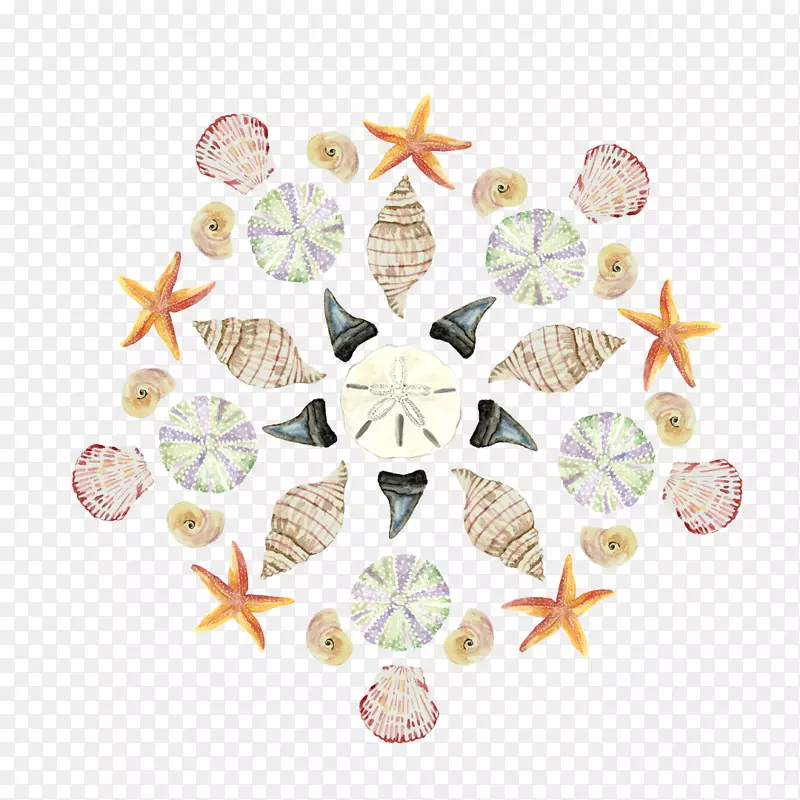 海贝壳水彩画艺术海胆海贝壳