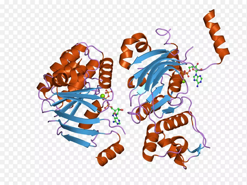 囊性纤维化跨膜电导调节剂ΔF 508基因膜蛋白氯通道