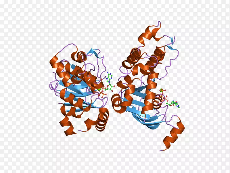 囊性纤维化跨膜电导调节剂突变ΔF 508基因膜蛋白