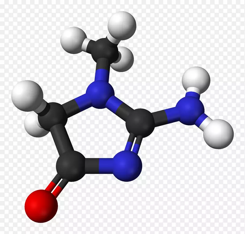 肌酐分子海因腺嘌呤