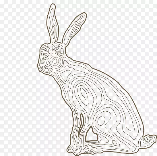 国内野兔线艺术画狗