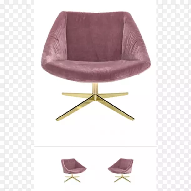 翼椅家具沙发天鹅绒花式椅子