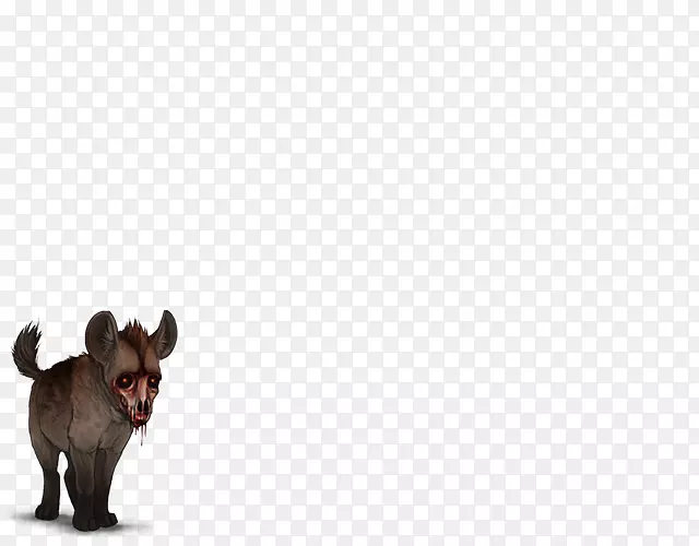 有袋动物鼻子食肉野生动物-鬣狗