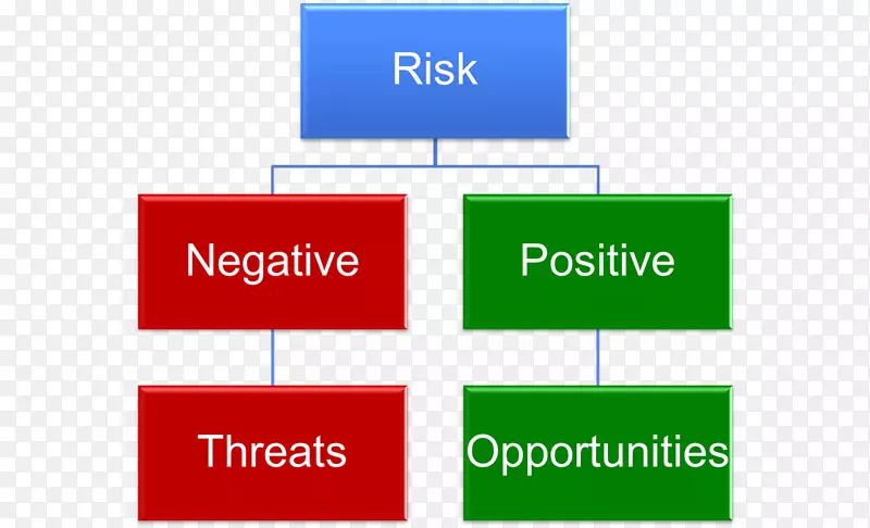 知识组织风险管理的项目管理主体-风险管理