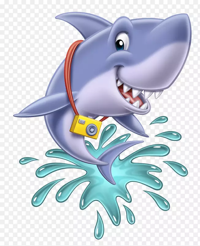鲨鱼海豚海洋生物-鲨鱼