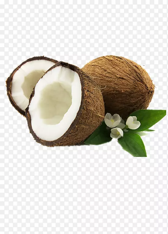 椰子油植物牛奶椰子奶油水果椰子
