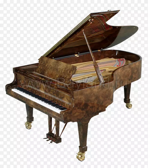 大钢琴欧式钢琴那不勒斯竖琴Fazioli钢琴