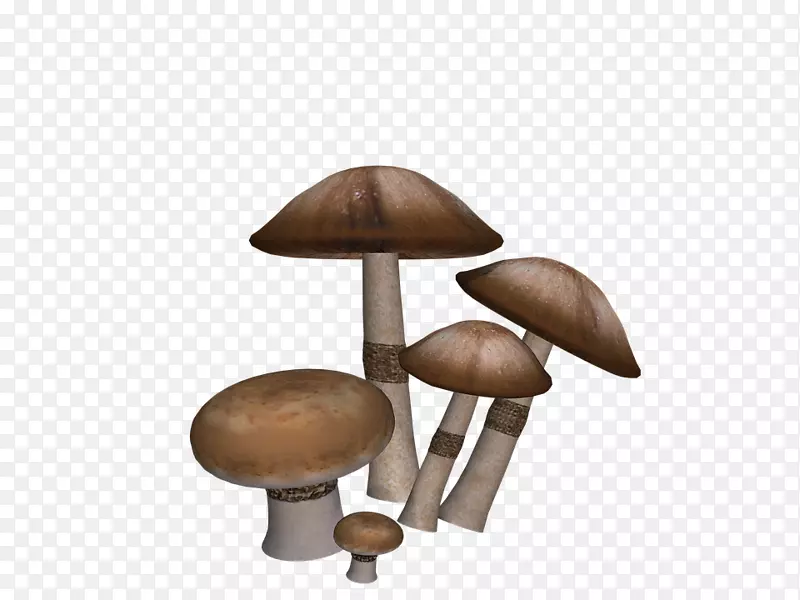 食用蘑菇夹艺术-蘑菇