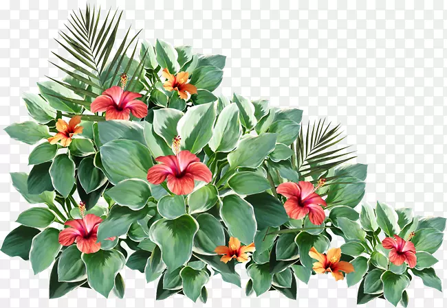花卉设计花2403(عدد)2404(عدد)-花