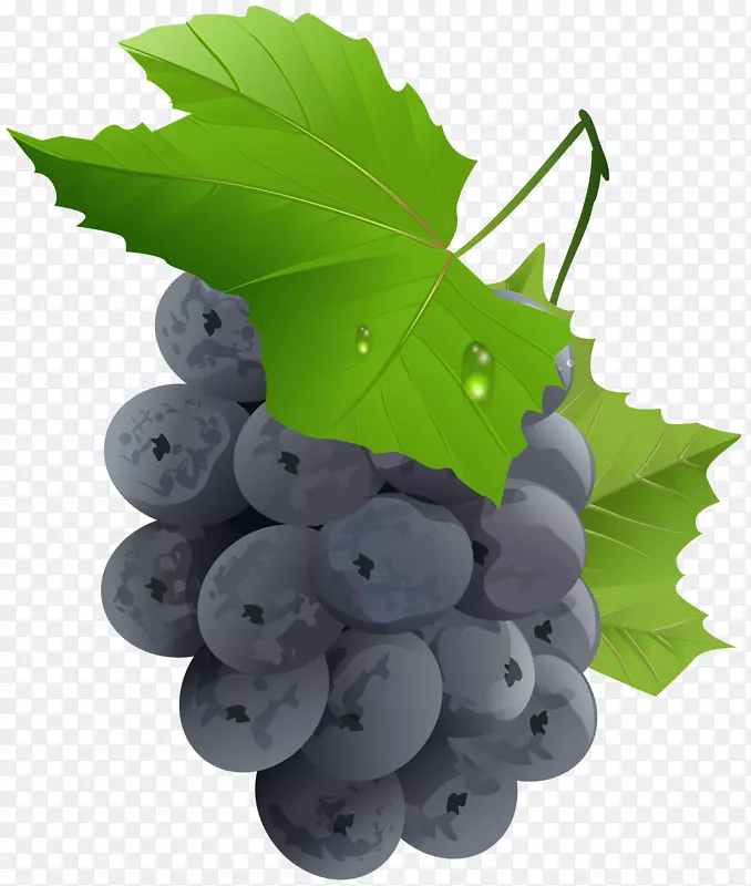 葡萄无籽水果剪贴画-葡萄