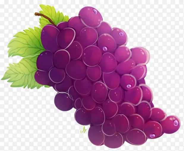 葡萄籽提取物无核水果浆果葡萄