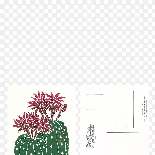 花卉设计师叶纺织品设计