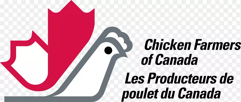 加拿大肉鸡养殖场-鸡