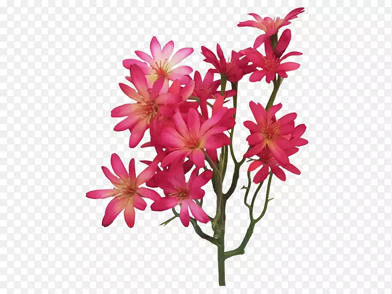 切花设计粉红m植物茎设计