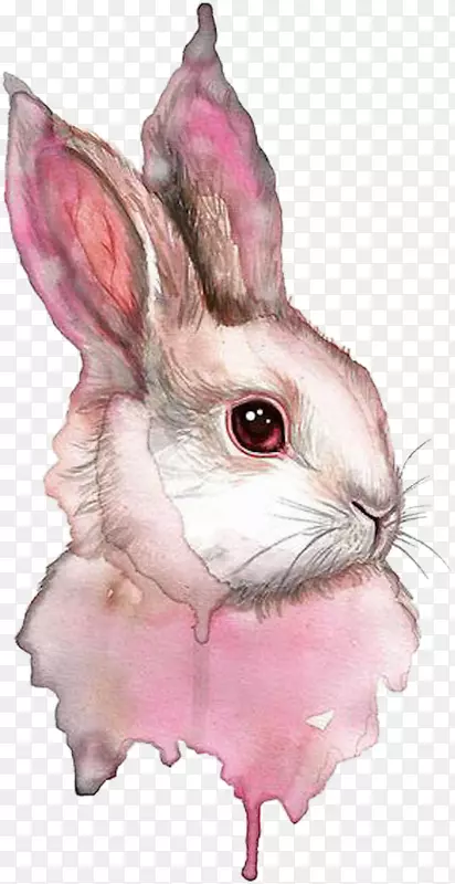 水彩画兔画