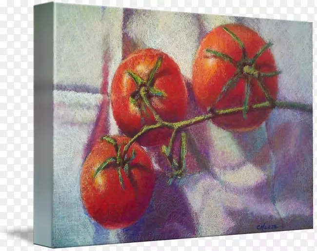 补色理论色轮-番茄绘图