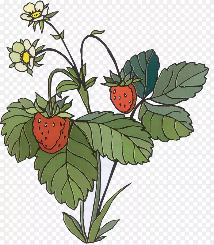 草莓水果沙拉华夫饼奥格里斯剪贴画-草莓
