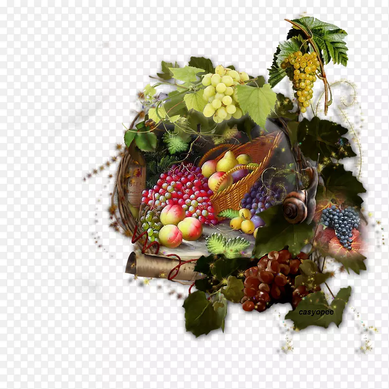 联合国奇科多莫紫罗兰花卉设计花盆天然食品.设计